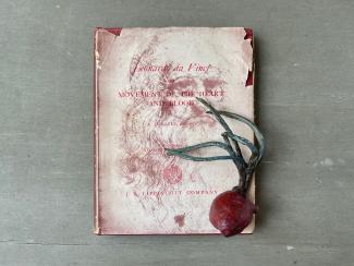 sofie muller, galerie Italienne, movement of the heart