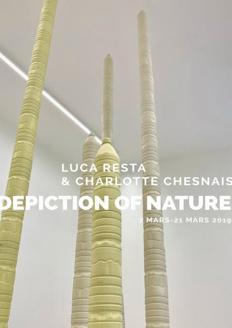 Depiction of Nature and Society, Luca Resta & Charlotte Chesnais